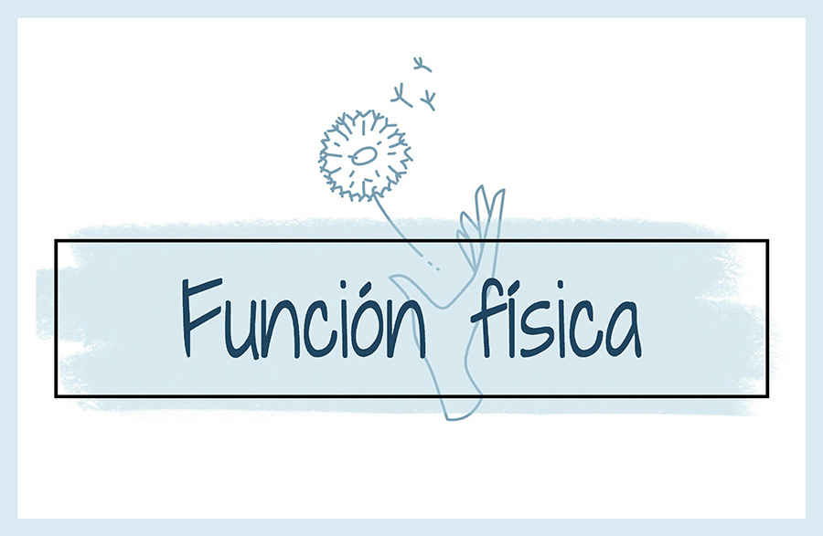 Función física
